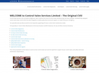 controlvalveservices.co.uk
