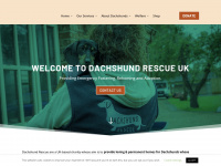 dachshundrescue.org.uk
