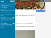 Leicestershireladiesciba.co.uk