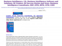 businessintelligence.org.uk