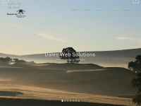 Daleswebsolutions.co.uk