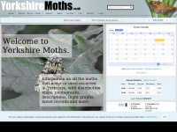 yorkshiremoths.co.uk