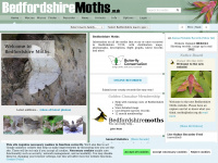 bedfordshiremoths.co.uk