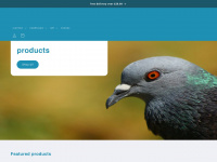 pigeonplanet.co.uk