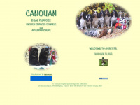 canouan.co.uk