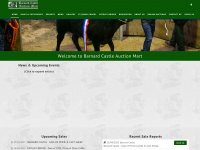 Barnardcastleauctionmart.co.uk