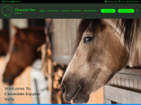 Clevedalevetsequine.co.uk