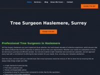 Lmtreesurgeryhaslemere.co.uk