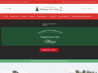 caulstownchristmastreefarm.ie