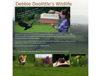 Debbiedoolittleswildlife.co.uk