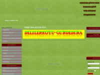 delilerkoyu.com