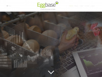 eggbase.co.uk