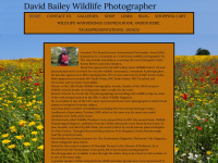 Davidbaileyphotographywales.co.uk