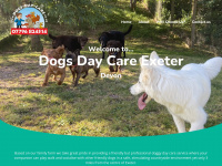 Dogs-day-care.co.uk