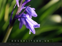Dogsolitude.co.uk