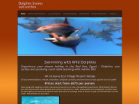 dolphinswims.co.uk