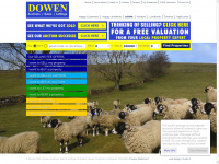Dowen.co.uk