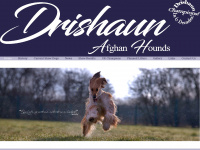 Drishaun.co.uk