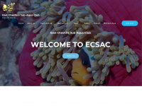 Ecsac.org.uk