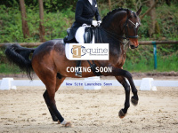 Equinefirst.co.uk