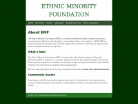 Ethnicminorityfund.org.uk