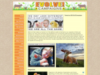 Evolvecampaigns.org.uk