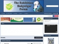 Exhibitionbudgerigarforum.co.uk