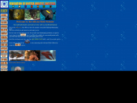 Fbas.co.uk