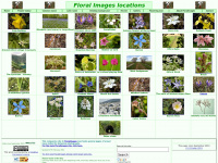 floralimages.org.uk