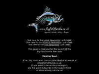 flyfishflorida.co.uk