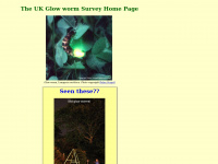 glowworms.org.uk