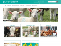 Ketchums.co.uk