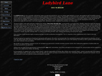 ladybirdlanedaynursery.co.uk