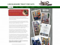 Lincolnshiretrustforcats.co.uk