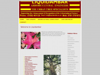 liquidambar.co.uk