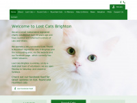 lostcatsbrighton.org.uk