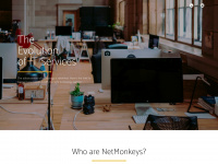 Netmonkeys.co.uk