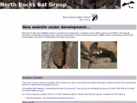 Northbucksbatgroup.org.uk