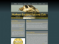 Northernenglandfalconryclub.co.uk