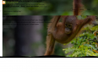 Orangutan-appeal.org.uk