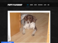 Puppyplaygroup.co.uk
