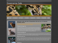 Queenannecats.co.uk