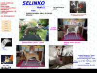 Selinko-whippets.co.uk