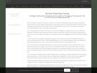 sheepdog-training.co.uk