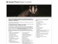 Badgerconsultants.co.uk