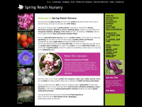 springreachnursery.co.uk