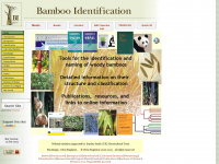 Bamboo-identification.co.uk