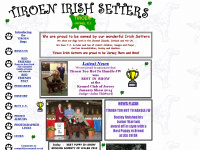 tiroen-irish-setters.co.uk