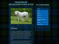 Trailtrowhighlandponies.co.uk