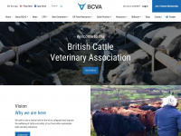 Bcva.org.uk